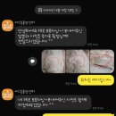 오리진 동물피부과병원 네이버블로그