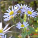 당신을위한노래 이미지