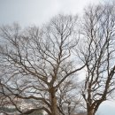 순천-37호 | 남원여행]남원추천여행지 실상사 보물찾기.