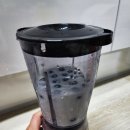 블루팜 | 거제블루팜 블루베리 체험후기