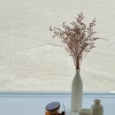 카페(CAFE)그루 이미지