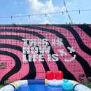 미앤마이독스 이미지