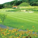 뉴스프링빌2CC 티스토리