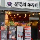 불멸의쭈꾸미 이미지