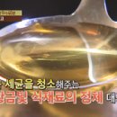 다이어트와 기력 충전! 두 마리 토끼를 잡아라! [천기누설] 이미지