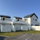 모니카 문 이미지