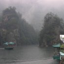 강희약국 이미지