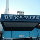 협신호텔 | [울릉도, 독도 2박3일 패키지 여행] 울릉도 파란투어 패키지 여행, 울릉도 A코스 투어, 울릉도 숙소...