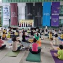 전남 요가(오전) 전남일보