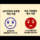 동동보감
