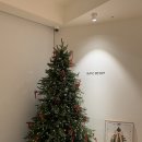 옥길로56번길2C | 요즘 나의 일상 기록 03