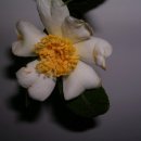 (유)현유 이미지