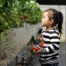 체험아이 유한회사 이미지