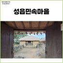 제주 표선 가볼만한 곳 성읍민속마을 입장료, 관람시간