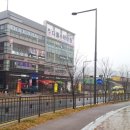 세종365약국 이미지