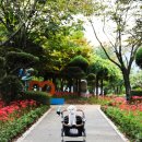 산호애견 이미지