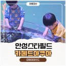 카페드아쿠아 | 안성 스타필드 아이랑 가볼만한곳 추천 수족관카페 카페드아쿠아 다녀왔어요!