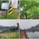 선두바다캠핑장 이미지