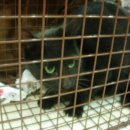 금강동물병원 이미지