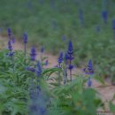 비아이월드 이미지