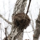 가산산성 이미지