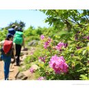 진산기획