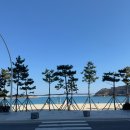 일산해수욕장7(일산경로당근처) | 울산 동구 일산해수욕장 강추하는 전 객실 오션뷰 타니베이호텔
