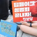 &#34;尹 정부, 텔레그램 N번방때 만든 디지털성범죄 TF도 해산&#34; 이미지