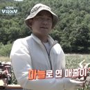 김종성농장 이미지