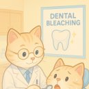 서울한스치과의원 이미지