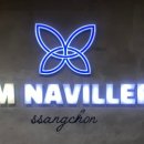 짐나빌레라 이미지