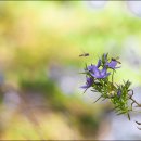 풀 - 동구 명덕5길 28 | 풀