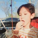 파인힐 빌리지 캠핑장 이미지