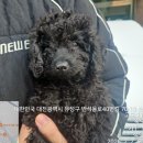 반석동로 이미지