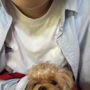 리안목장 이미지