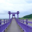 조개체험장  대죽 이미지