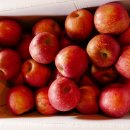 유평농장 이미지