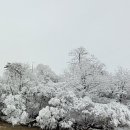 옥토농원
