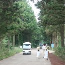 청초농장 이미지