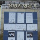 영산홍어 주식회사