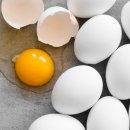 우리계란마트 이미지