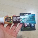 스타덴탈2 이미지