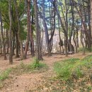 백양산한가족사우나 이미지