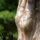 소향공원 이미지