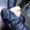 홀드핀칭 이미지