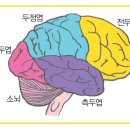 비르투오소음악학원 네이버블로그