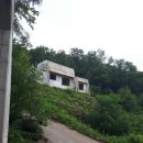 힐링선