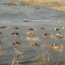 서윤농장 이미지