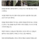 SG피트니스 이미지