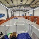 댕댕애견 이미지